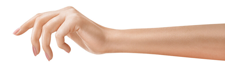 beautifully hand holding something, concept for tech or social media-related content. well-manicured