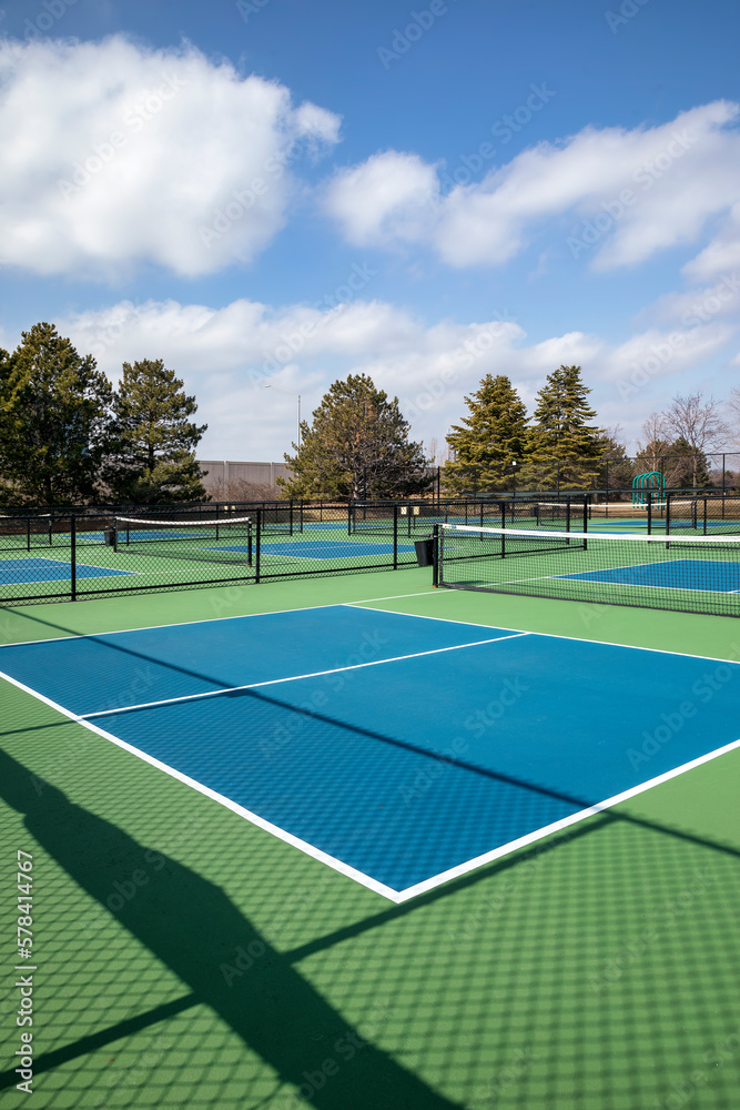 Private Pickleball Court