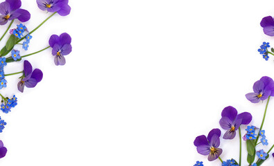 Wall Mural - Flowers viola tricolor ( pansy ) and blue wildflowers forget-me-nots on a white background with space for text. Top view, flat lay