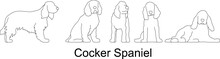 Sketch Vector Illustration Of A Collection Of Cocker Spaniel Dogs