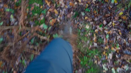 Wall Mural - The wellies of a person walking through autumn woodland