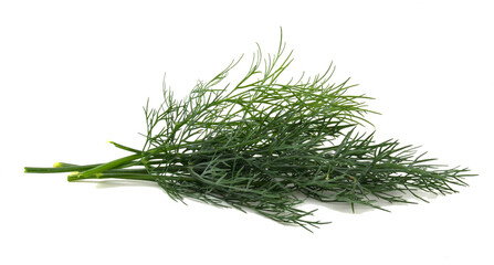 Wall Mural - Bunch of fresh dill isolated on white background. Greens ingredient for dishes.