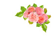 Pink rose flowers and green leaves in a floral corner arrangement isolated on transparent background.
