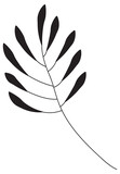 Fototapeta  - Line drawing with a branch of leaves