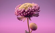  A Purple Flower With A Yellow Center On A Purple Background With A Pink Background And A Pink Background With A Pink Background And A Yellow Center On The Top.  Generative Ai