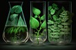 Collection of chemical glassware filled with plants on black background