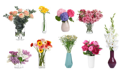 Wall Mural - Collage with many beautiful flowers in different vases on white background
