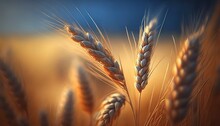 Close Up Ripe Wheat Ear Ready To Harvest In Summer Time, Generative Ai