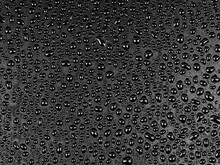 Water Droplets On Black Background. Water Drops On Black.