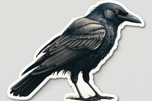 Sticker Of A Magnificent Black Raven With Piercing Eyes In Orange