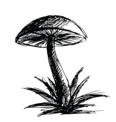 Sticker - The sketch of a forest mushroom with ink.
