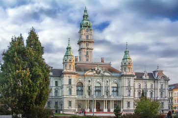 Fototapete - City hall of Gyor, Hungary