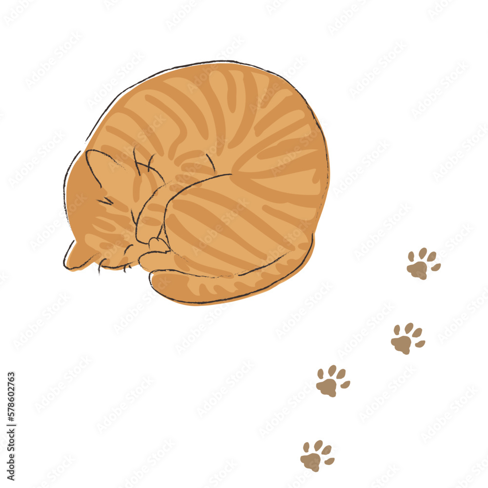 眠る茶トラの猫と足跡 Stock Vector | Adobe Stock, image size:1000x1000