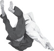 fighters judokas throw for ippon in judo polygonal vector on white background, sports vector illustration