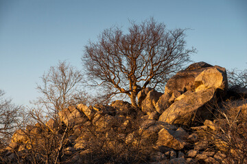 Wall Mural - desert rocks landscape