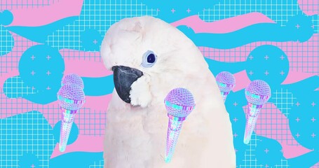 Wall Mural - Photo loop collage animation. Modern trippy design. Funny parrots and karaoke concept