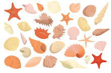 Shells Set Icons Concept Without People Scene In The Flat Cartoon Style. Images Of Various Sea Shells. Vector Illustration.