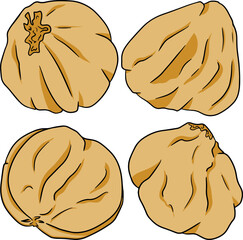 Hazelnut. Vector hand drawn nuts. Colored illustration with different sort of nuns.