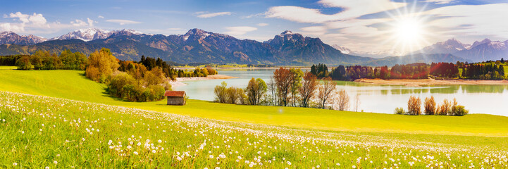 Poster - panoramic view to rural landscape with mountain range and meadow at springtime