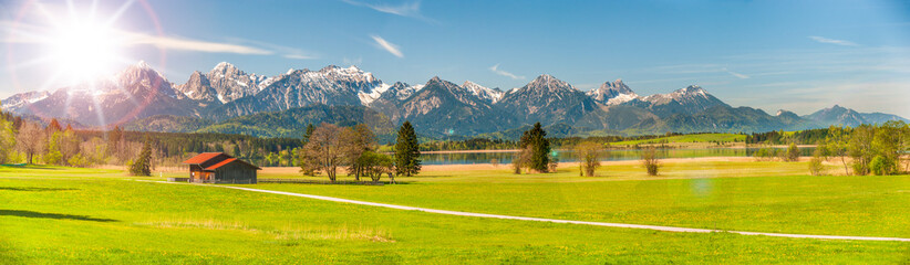 Poster - panoramic view to rural landscape with mountain range and meadow at springtime