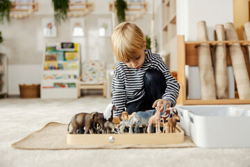 a little boy is playing educational game with animals toys at kindergarten.