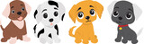 Fototapeta Pokój dzieciecy - dogs, puppies cartoon in flat style isolated vector