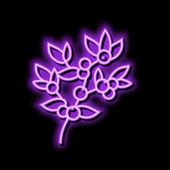 Canvas Print - huckleberry bilbery plant neon glow icon illustration