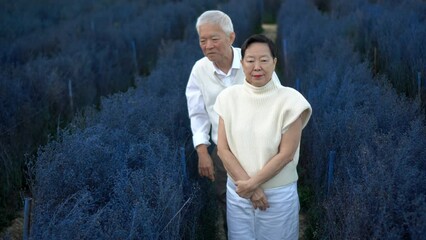 Wall Mural - Asian senior sweet old couple walking travel to purple magical flower field