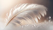 Gentle white feather with drops of dew on a beautiful background