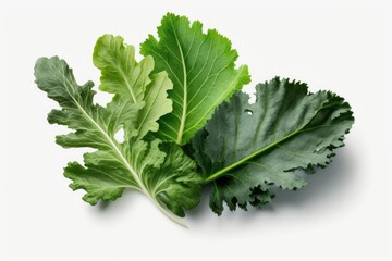 Poster - On a white background, fresh vegetable leaves are isolated. Generative AI