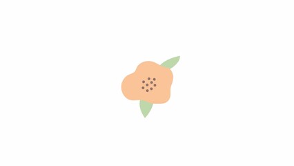 Poster - Animated orange poppy flower. Perennial plant for summertime garden. Flat cartoon style icon 4K video footage. Color isolated element animation on white background with alpha channel transparency