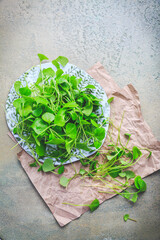 Wall Mural - Winter purslane - Indian lettuce, healthy green vegetables for raw salads and cooking