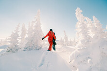 Woman With Snowboard On  Sunny Snowy Slope With Beautiful Spruce Forest Covered With Snow View. Sports Outdoor Lifestyle