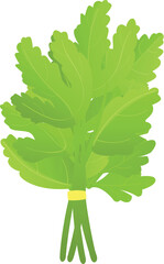 Wall Mural - Parsley salad icon cartoon vector. Leaf plant. Fresh food