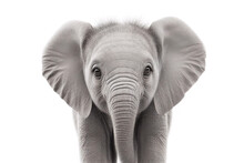 Baby Elephant Portrait. Generative AI Illustration
