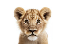 Baby Lion Portrait. Generative AI Illustration