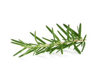 Wall Mural - Twig of rosemary on a white background