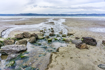 Canvas Print - Windy Puget Sound Shoreline