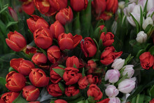 Bouquets Of Red Tulips For Sale In The Store