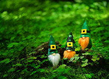 Toy Gnomes In Forest, Abstract Green Natural Background. Magic Friends Dwarfs In Mystery Nature. Fairy Tale Image. Spring, Summer Season. Symbol Of Ireland, St. Patrick Day, Traditional Irish Holiday