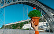 Woman hand with Basil in a pot Manjerico plants against Porto gridge. The symbol of the Portuguese, Summer festival in June San Juan
