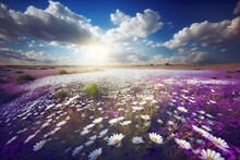 Beautiful Summer Landscape With Daisies And Sun In The Sky