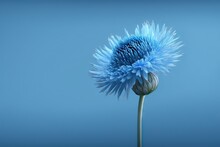 Light Cornflower Blue Background