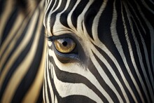 Illustration Of A Close Up Of A Zebra - Created With Generative Ai