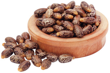 Wall Mural - Castor beans in a wooden bowl