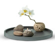 floral home decor with white orchid, candle and stones on ceramic plate isolated on transparent background, creative design concept for wellness at home