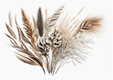 Fototapeta  - Flower arrangement of dried plants, cereals, pampas grass on a white background, country style. Natural colors. Design for postcard, illustration for interior decor. Generative AI