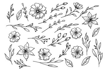 Wall Mural - Hand drawn leaves and flowers collection organic floral decorative