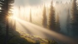 Fototapeta  -  the sun is shining through the trees in the foggy forest.  generative ai