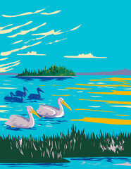 Wall Mural - WPA poster art of pelicans in Astotin Lake within Elk Island National Park in Alberta, Canada done in works project administration.